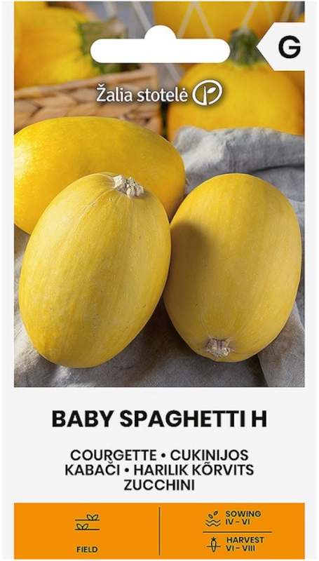 Cukinia Baby Spaghetti H o bardzo licznych okrągłych owocach nasiona Žalia stotelė sklep rajogrodnika